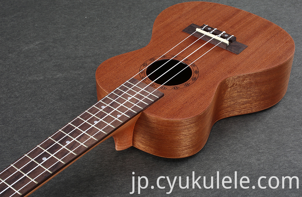 ukulele24